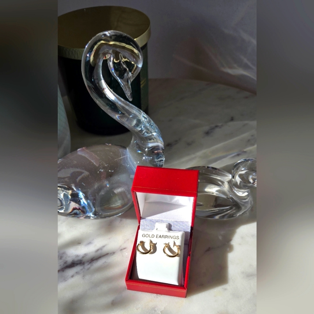 Elegant 10K Yellow Gold 12mm Hoop Earrings – Everyday Glam